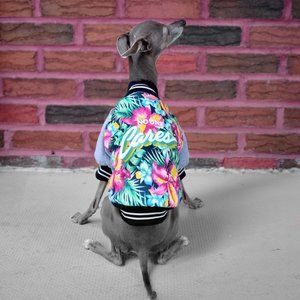 No One Cares Dog Bomber Jacket